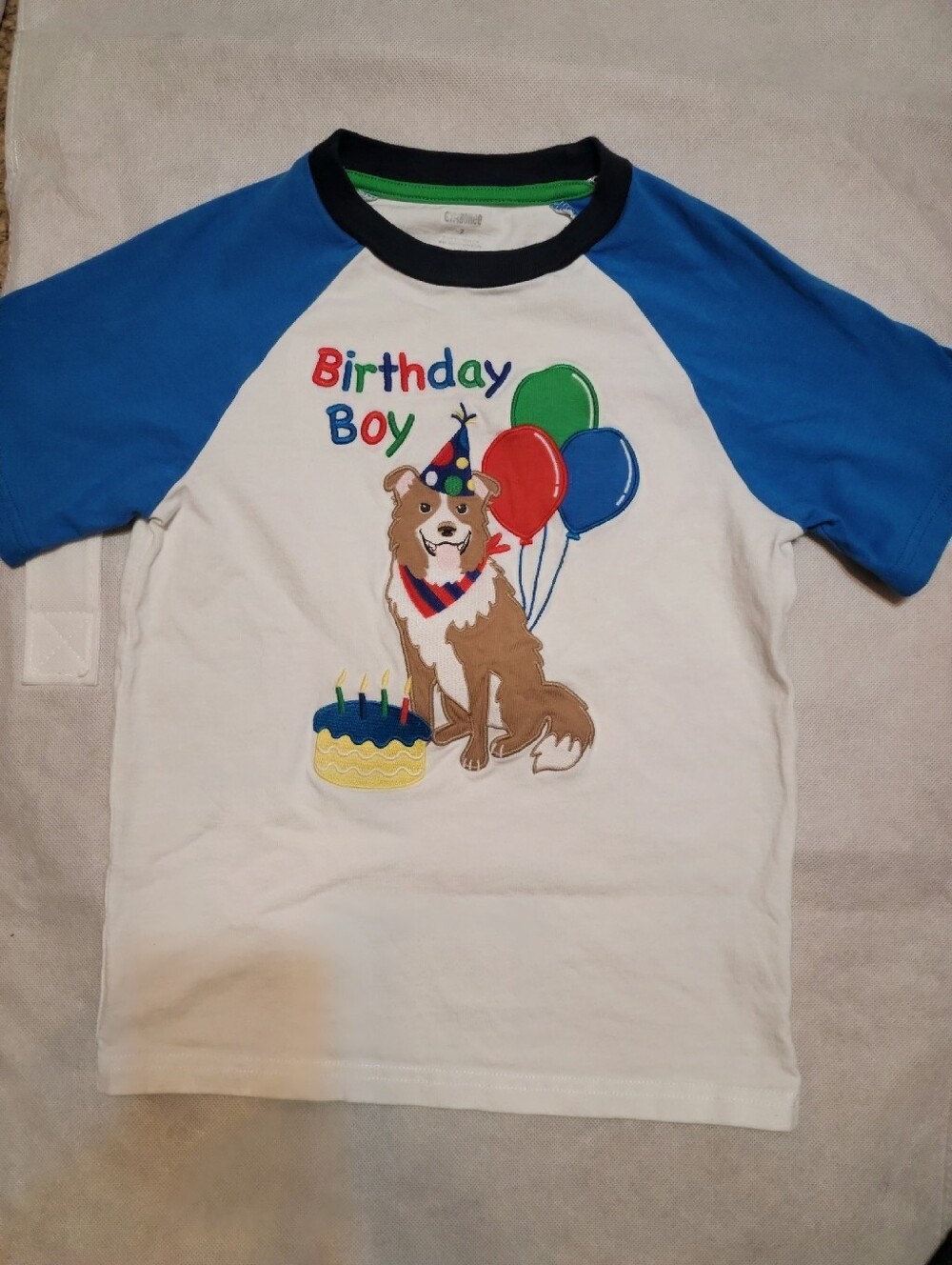 Gymboree Birthday Boy Shirt Sz 7